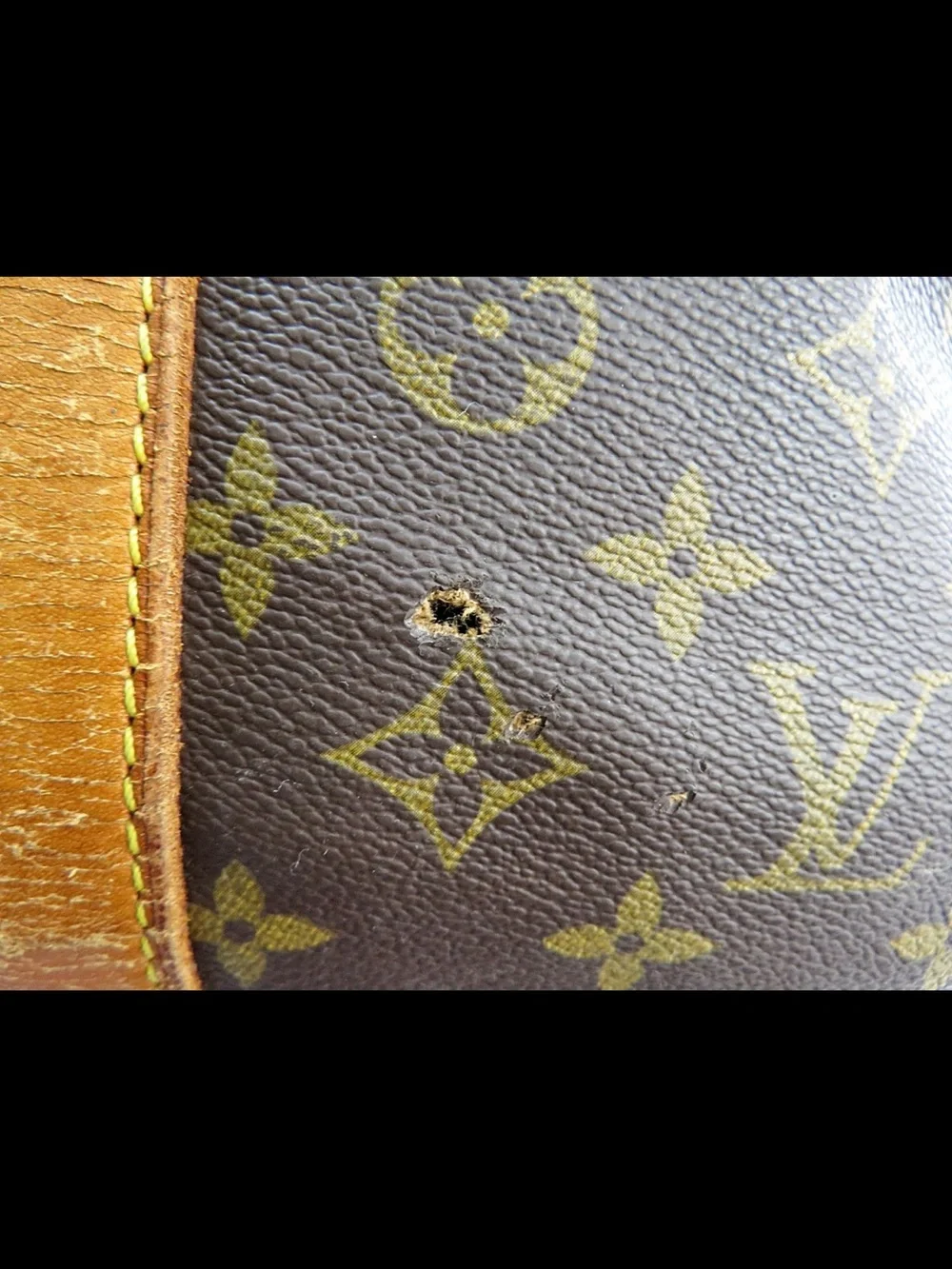 Louis Vuitton classic louis